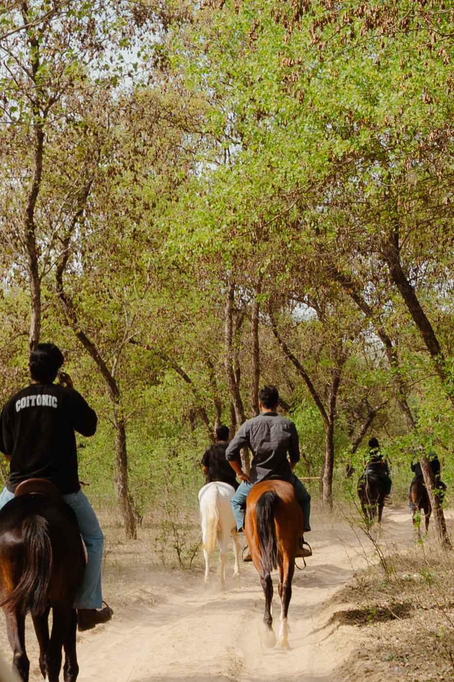 Two guests riding horses at Jaipur Frontier Safari